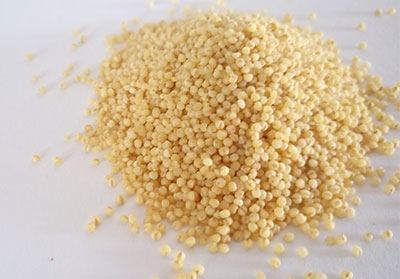 Millet is naturally a gluten-free grain 