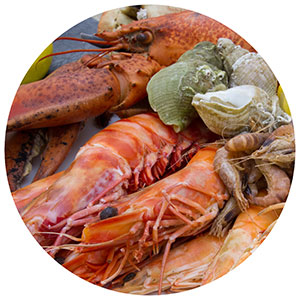 Shelfish - Lobster and shrimp