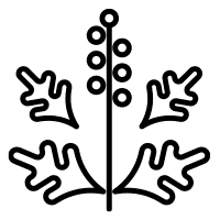 Ragweed icon