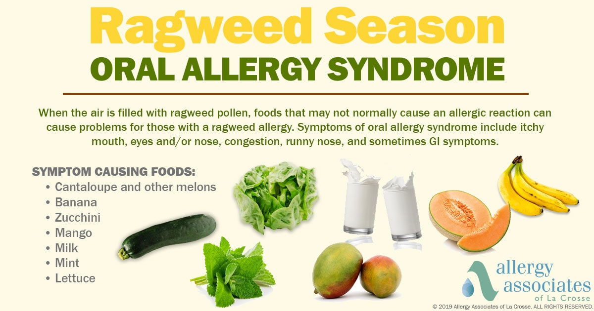 Ragweed season oral allergy syndrome