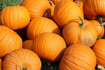 Pumpkin is an excellent source of vitamin A, and a good source of fiber, vitamin C, riboflavin, potassium, copper, and manganese.