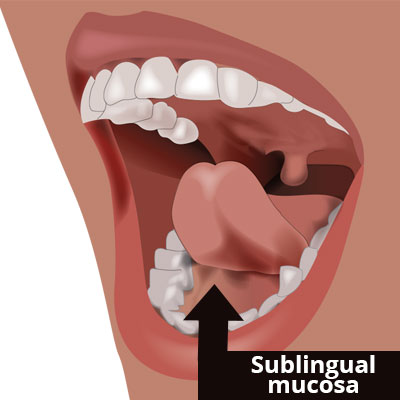 sublingual-mucosa