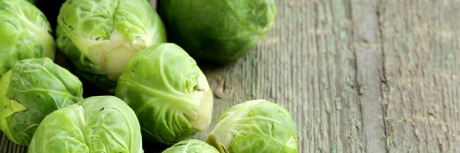 brussel-sprout-web-header