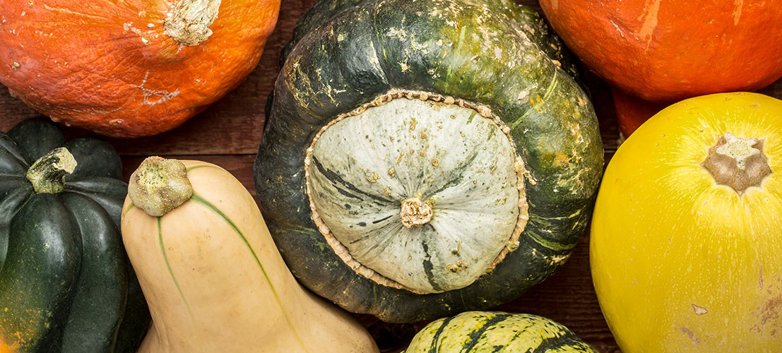 Winter squash-web-header