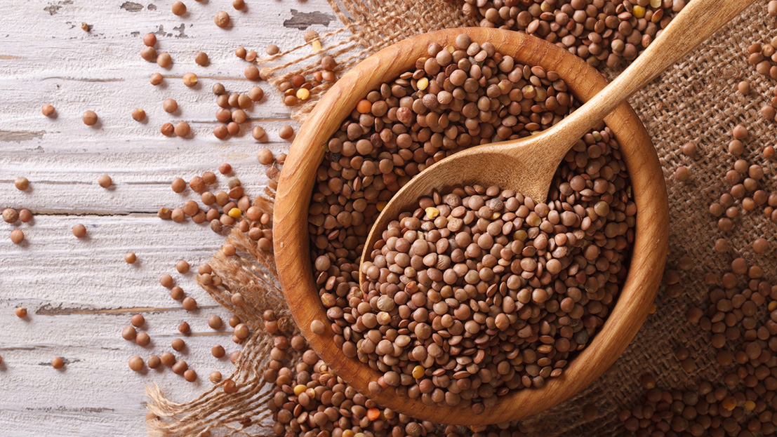 lentils - web header