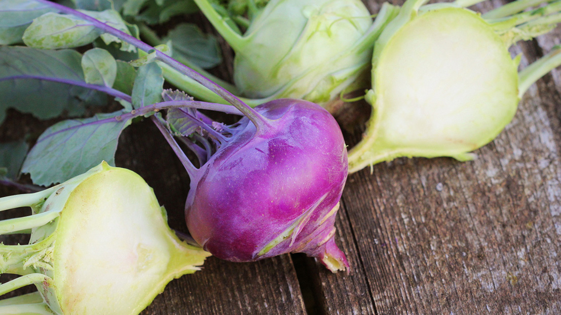 kohlrabi - web header