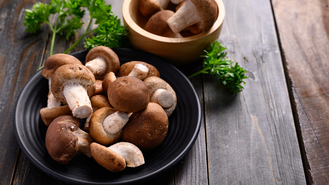 shiitake mushrooms - webheader