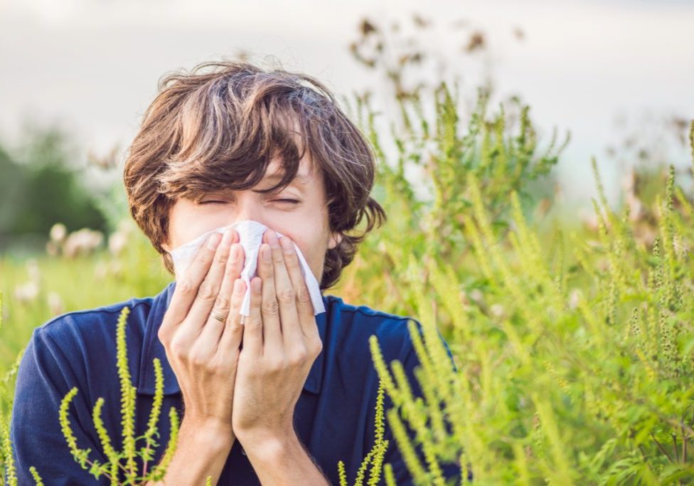 Struggling Through Longer Allergy Seasons? You’re Not Alone